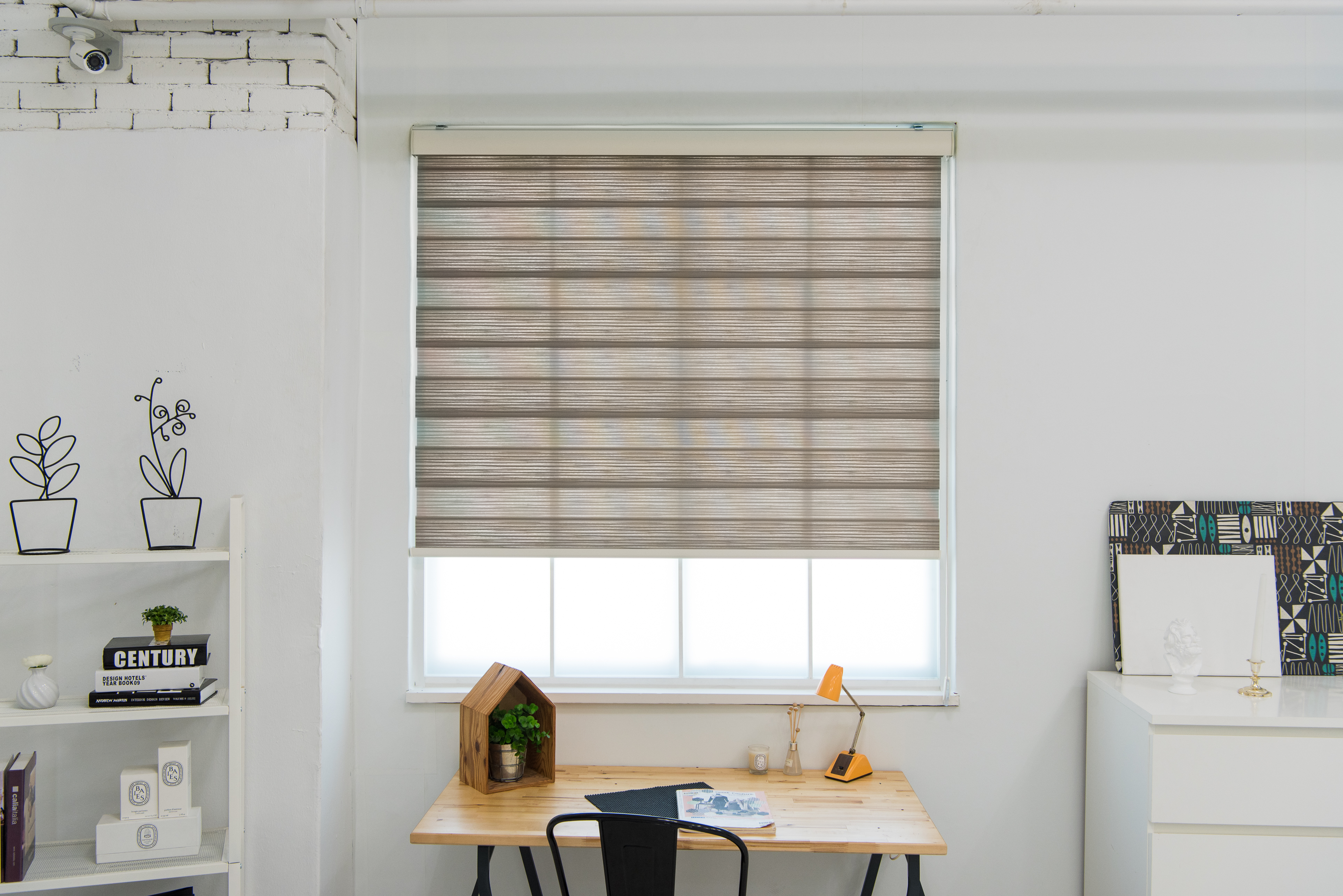 Zebra Blinds